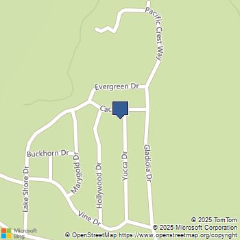 29433 Cacti Dr Campo, CA MLS# 250039884SD