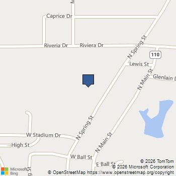 1203 N Spring Street Grand Saline, TX MLS# 21290469