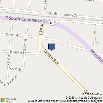 405 Canton Avenue Wills Point, TX MLS# 21215473