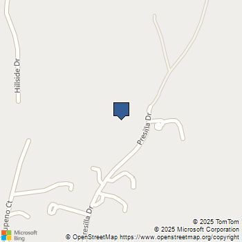 15223 Presilla Drive Jamul, CA MLS# PTP2502149