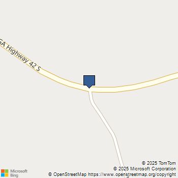 0 Mathews Road Roberta, GA MLS# 10633128