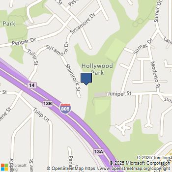 2317 Shamrock Street San Diego, CA MLS# PTP2507524