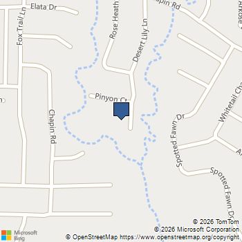 2932 Desert Lily Lane Fort Worth, TX MLS# 10894085