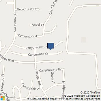 10065 Canyonview Spring Valley, CA MLS# PTP2506756