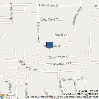 10021 Canyontop Street Spring Valley, CA MLS# PTP2508043