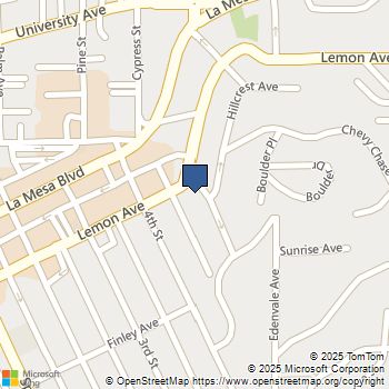 8417 Lemon Avenue La Mesa, CA MLS# 250041119SD