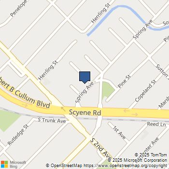 3535 Spring Avenue Dallas, TX MLS# 21078405