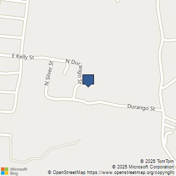 314 DURANGO Street Silver City, NM MLS# 1088847