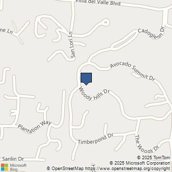 1542 Woody Hills Dr El Cajon, CA MLS# 250040892SD