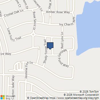 4017 Shady Forge Trail Arlington, TX MLS# 21320385