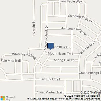 1403 Mount Evans Trail Arlington, TX MLS# 21279843