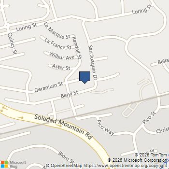 2533 Geranium Street San Diego, CA MLS# 250042613SD