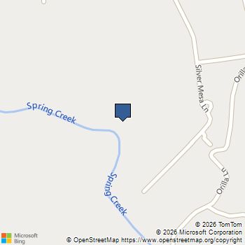 4225 Silver Mesa Lane Fort Worth, TX MLS# 21111949