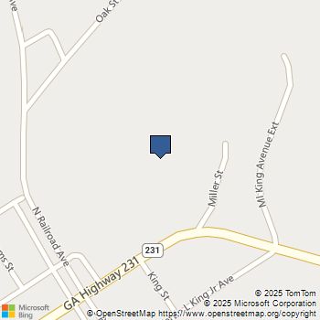 180 Miller Street Harrison, GA MLS# 7641702