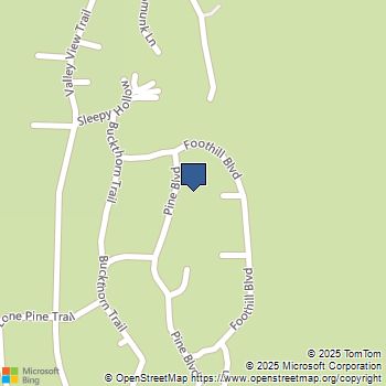 8141 Pine Blvd Pine Valley, CA MLS# 250033837SD