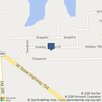 294 Holiday Village Drive Quitman, TX MLS# 21145915