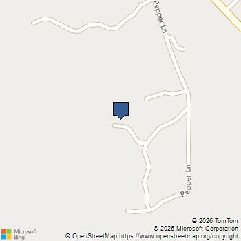 395 Pepper Lane Weatherford, TX MLS# 21279434
