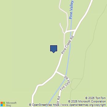 9150 #5 Pine Creek Rd Pine Valley, CA MLS# PTP2502675