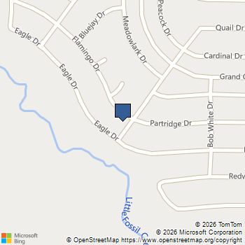 700 Flamingo Drive Saginaw, TX MLS# 21313270