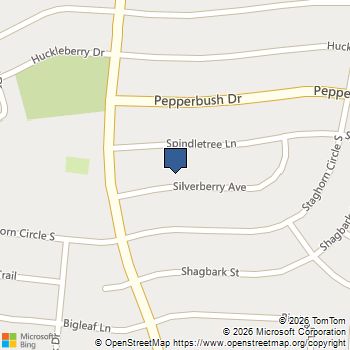 4125 Silverberry Avenue Fort Worth, TX MLS# 21200808