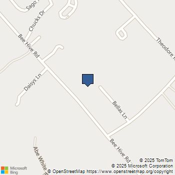 977 Bellas Lane Mount Pleasant, SC MLS# 25031001