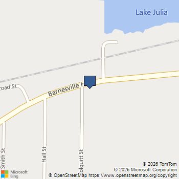 3006 Barnesville Highway Thomaston, GA MLS# 10568876