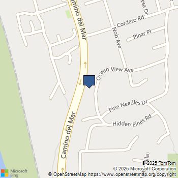 262 Ocean View Del Mar, CA MLS# 250038956SD