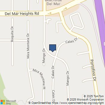 13625 Mango Drive Del Mar, CA MLS# NDP2510751