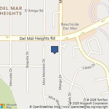 13754 MANGO DRIVE 316 Del Mar, CA MLS# 250022366SD