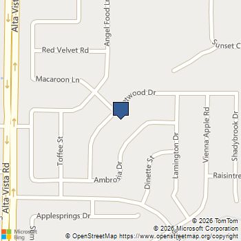 4856 Carrotwood Drive Fort Worth, TX MLS# 21415733