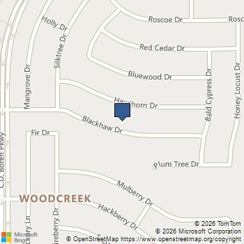 314 Blackhaw Drive Fate, TX MLS# 21342965