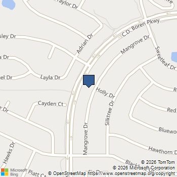 929 Mangrove Drive Fate, TX MLS# 21275198