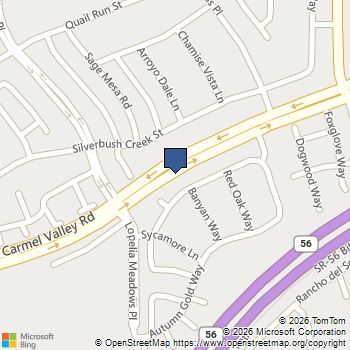 13516 Peach Tree Way San Diego, CA MLS# 260018252