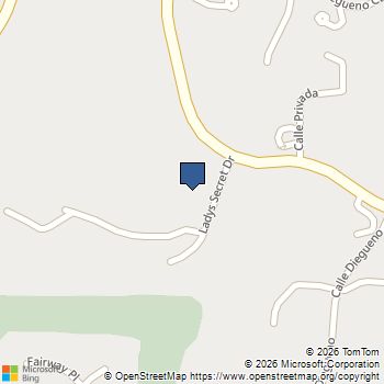 14716 Ladys Secret Drive Rancho Santa Fe, CA MLS# 250020942SD