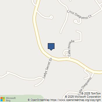 5980 Rancho Diegueno Rancho Santa Fe, CA MLS# 250033130SD