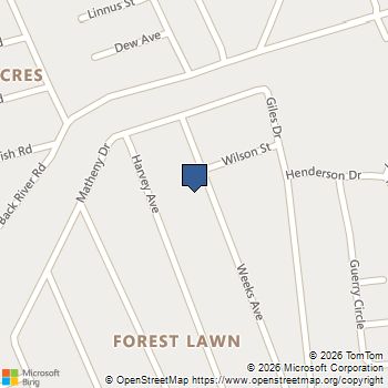 110 Weeks Avenue Goose Creek, SC MLS# 26010721