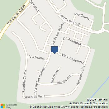 16019 Via De Las Palmas Rancho Santa Fe, CA MLS# NDP2509883