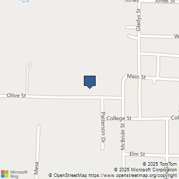 103 Olive Street Lone Oak, TX MLS# 21130757