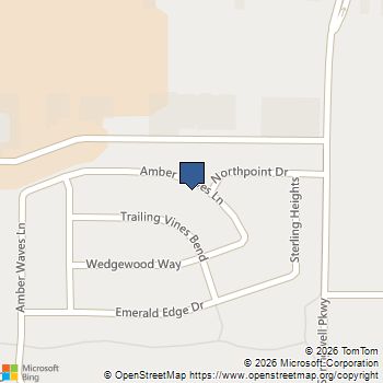 3203 Amber Waves Lane Wylie, TX MLS# 21145804