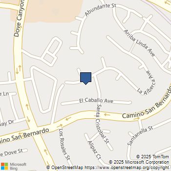 10659 Paseo Allegria Ave. San Diego, CA MLS# 250038007SD