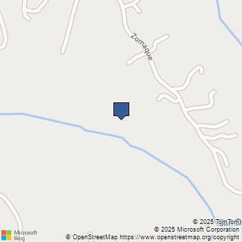 16574 Zumaque Rancho Santa Fe, CA MLS# 250036613SD