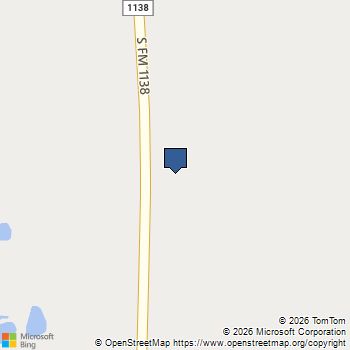 550 S Fm1138 Nevada, TX MLS# 21189596