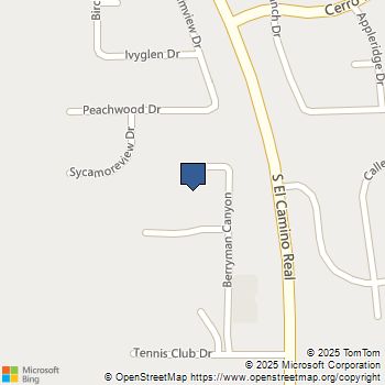 1259 Berryman Canyon Lot 9 Encinitas, CA MLS# 250044051SD