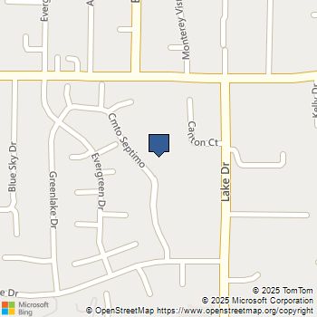 1341 Caminito Septimo Cardiff by the Sea, CA MLS# 250039318SD