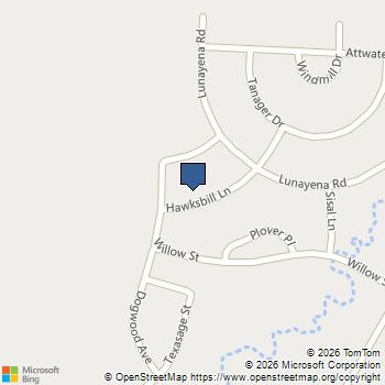 156 Hawksbill Lane Rhome, TX MLS# 21276311