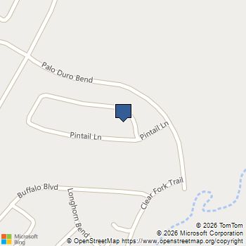 119 Palo Duro Bend Rhome, TX MLS# 21337795