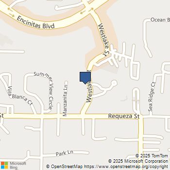 656 Westlake Street Encinitas, CA MLS# NDP2501434