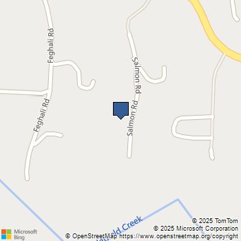 333 Salmon Road Ramona, CA MLS# PTP2507858