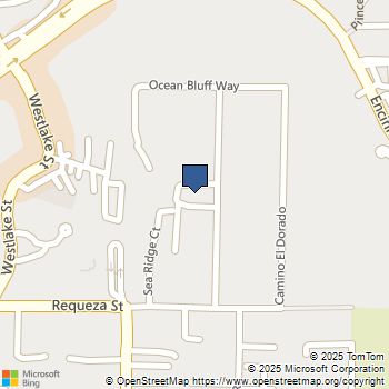 604 Camino De Orchidia Encinitas, CA MLS# 250040237SD