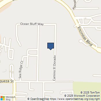 590 Camino El Dorado Encinitas, CA MLS# NDP2308720